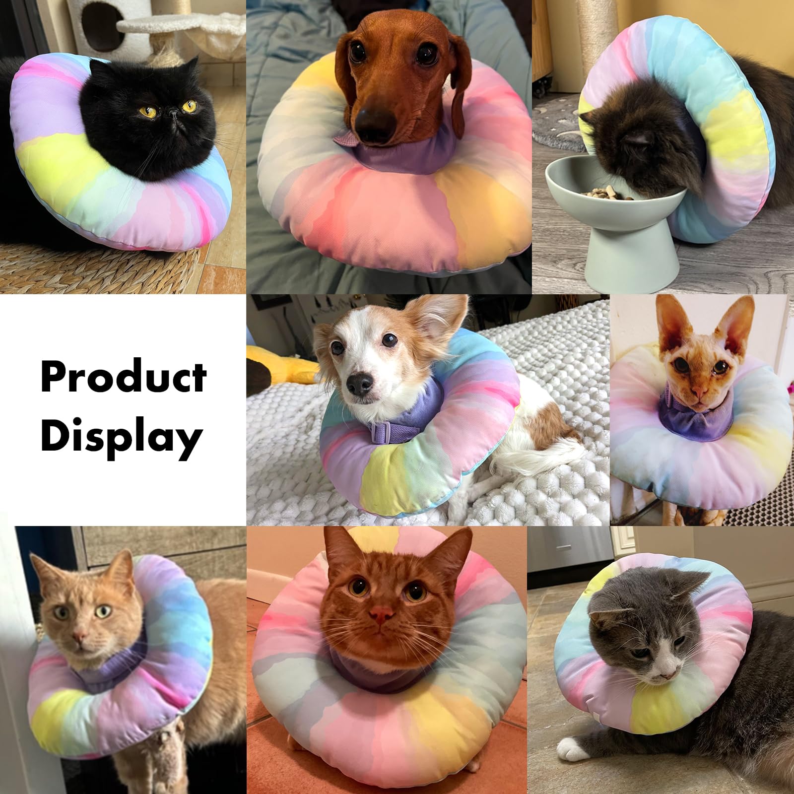 EWES collar suave para gato, sin obstruir la visión y manteniendo movilidad