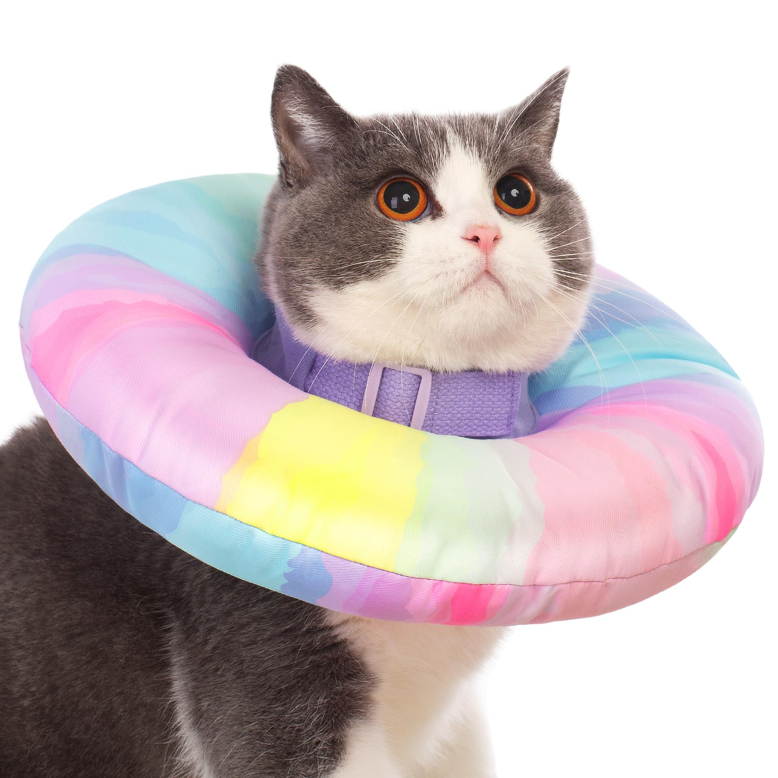 EWES collar de recuperación suave para gato, cómodo para dormir y descansar