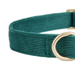 Ewinoom collar con anilla en D, fácil de sujetar la correa.
