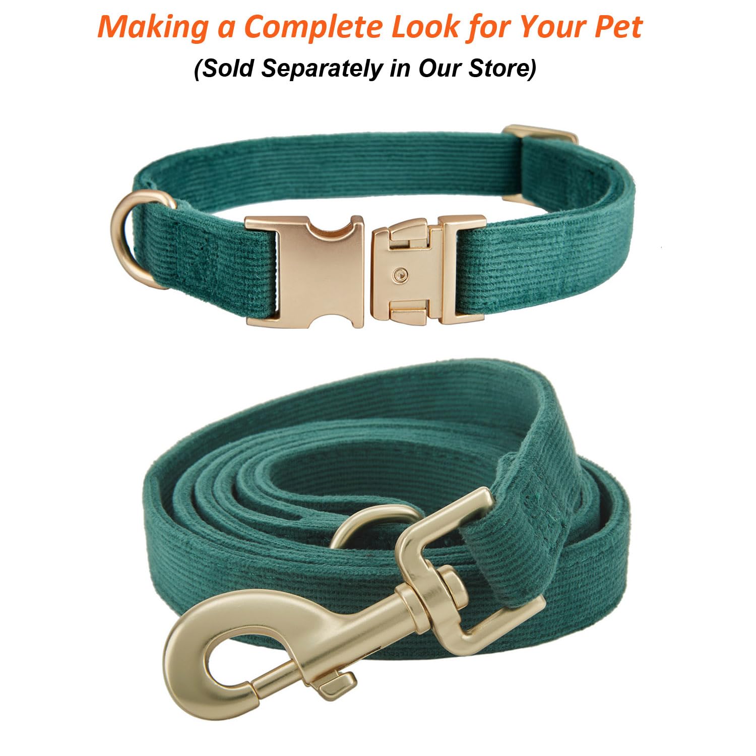 Ewinoom collar para uso diario y paseos, opción elegante.