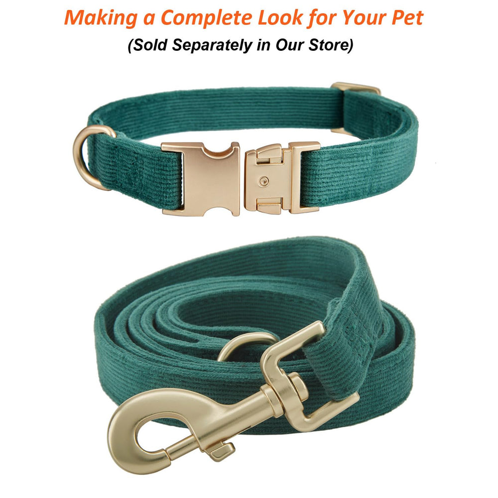 Ewinoom collar para uso diario y paseos, opción elegante.