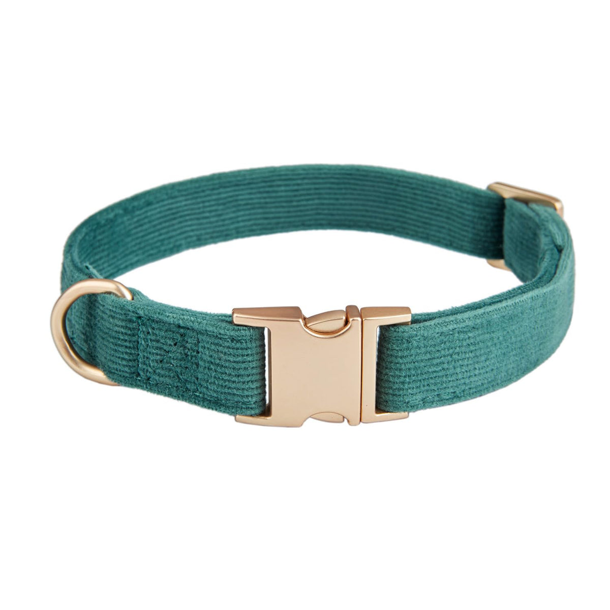 Ewinoom collar suave con hebilla metálica, cómodo para paseos diarios.