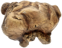 Exo Terra Cueva Reptil Grande diseño de piedras para camuflaje natural