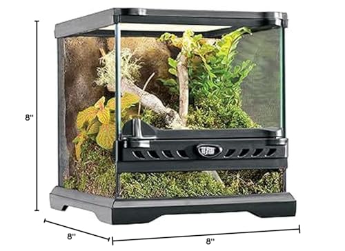 Exo Terra Nano 8x8, ideal para reptiles y anfibios en espacios reducidos.