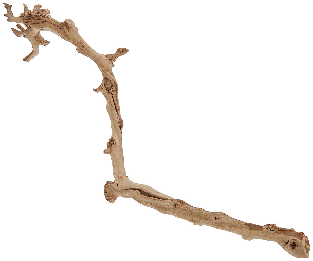 Exo Terra Ramas naturales 3D, añade profundidad y agarre para reptiles.
