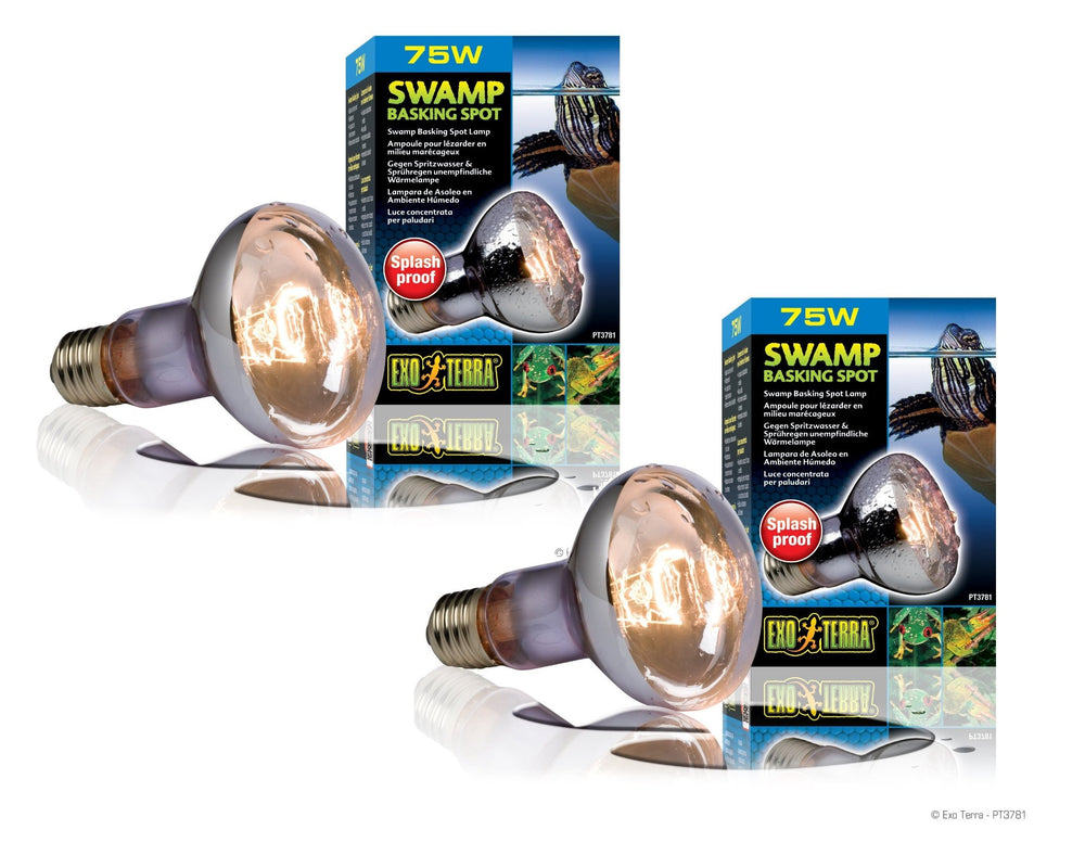Exo Terra Swamp Glo 75W, lámpara para terrarios húmedos y saludables.