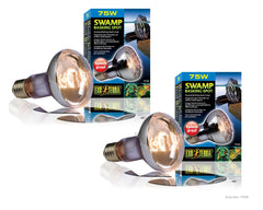 Exo Terra Swamp Glo 75W, lámpara para terrarios húmedos y saludables.