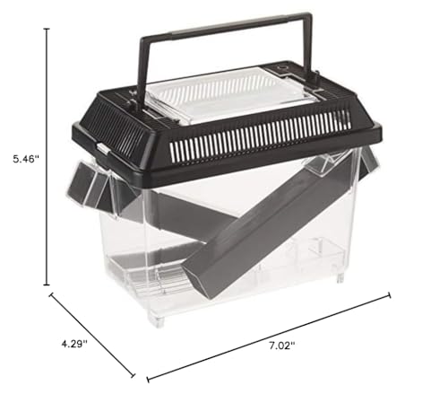 Exo Terra recinto para grillos accesorios incluidos para empezar fácilmente.