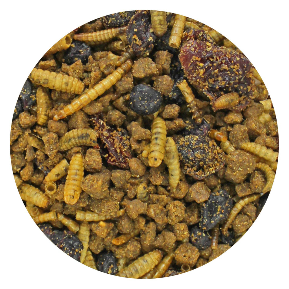 Exotic Nutrition Berries & Bugs: uso diario recomendado para mamíferos insectívoros.