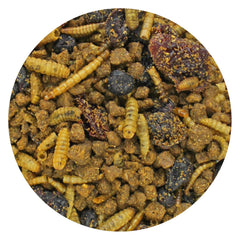 Exotic Nutrition Berries & Bugs: uso diario recomendado para mamíferos insectívoros.
