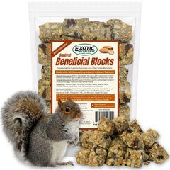 Bloques Exotic Nutrition para ardillas con nueces y semillas, listos para forrajeo.