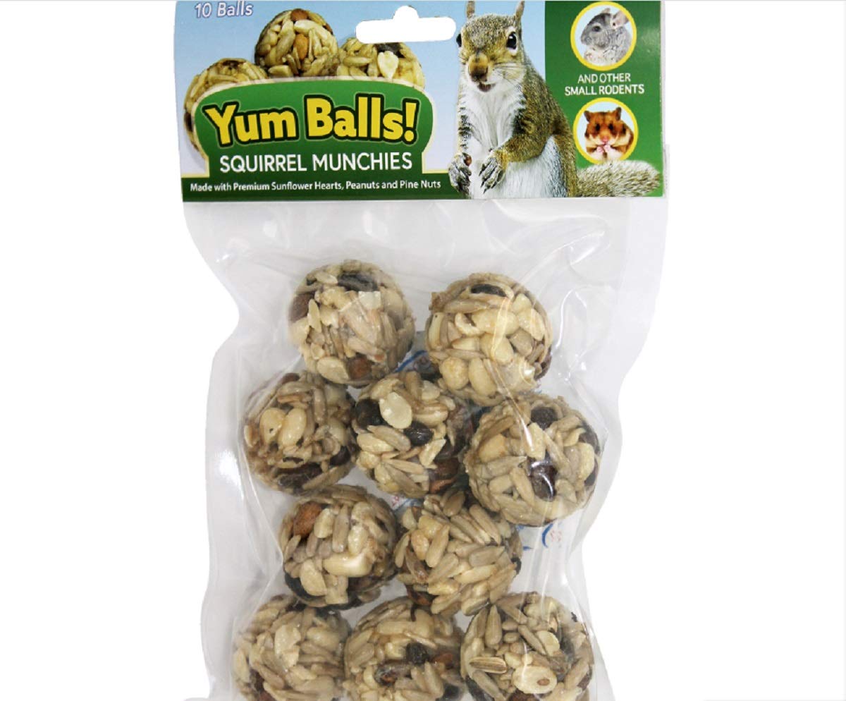 Bolas sabrosas de Exotic Nutrition para ardillas: snack nutritivo que promueve la búsqueda de alimento.