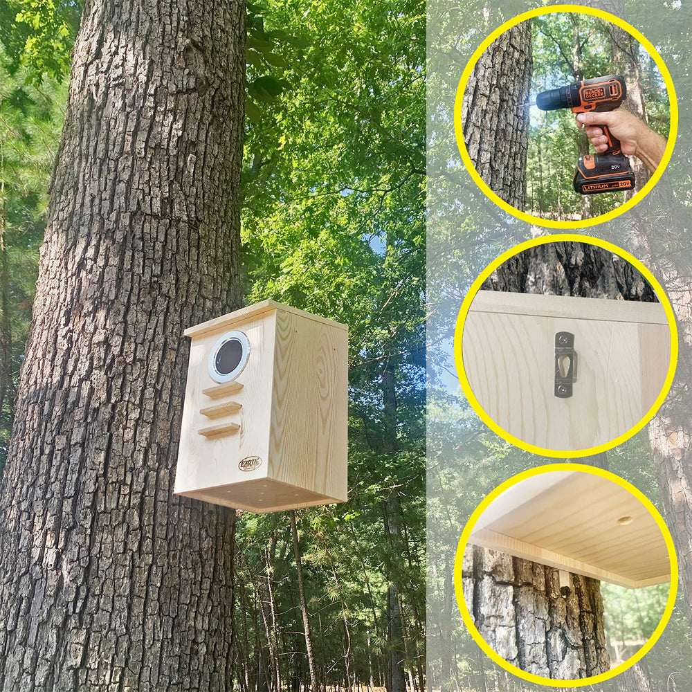 Caja-nido Exotic Nutrition con tapa abatible para limpieza rápida