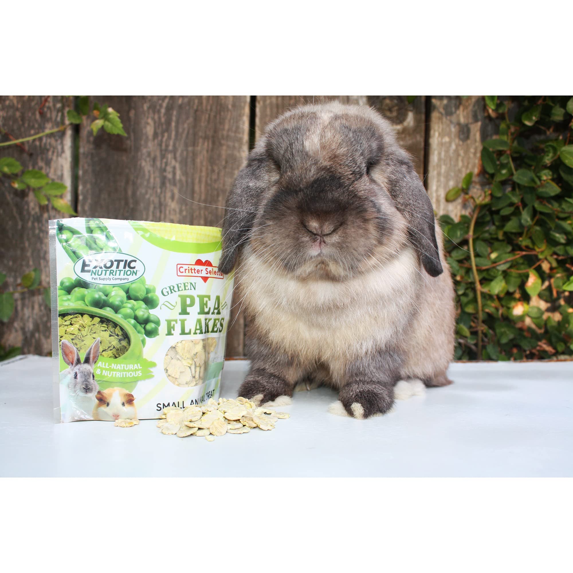 Exotic Nutrition copos de guisante verde, en tazón para ofrecer como premio diario