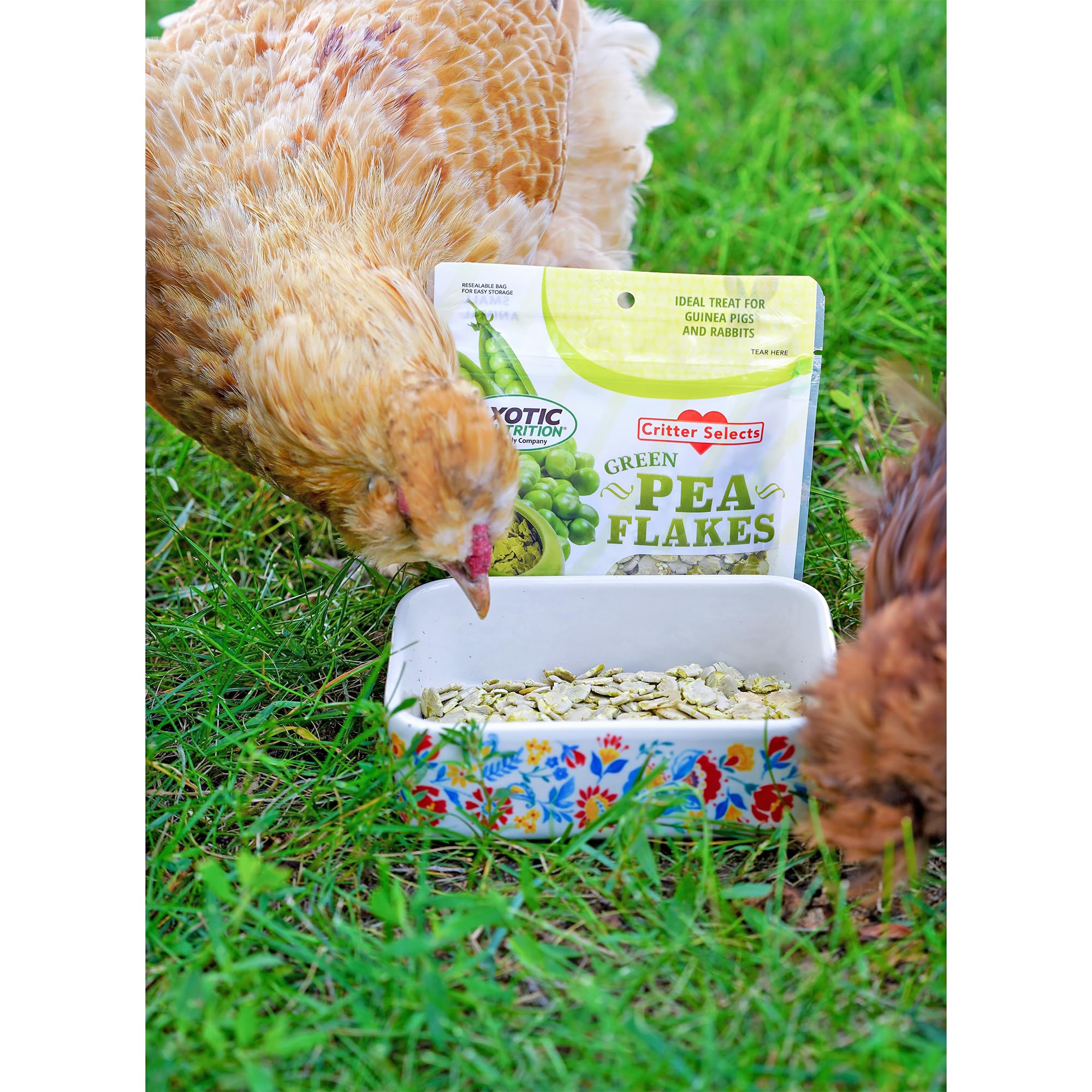 Exotic Nutrition copos de guisante verde, mezcla con heno para diversidad de texturas