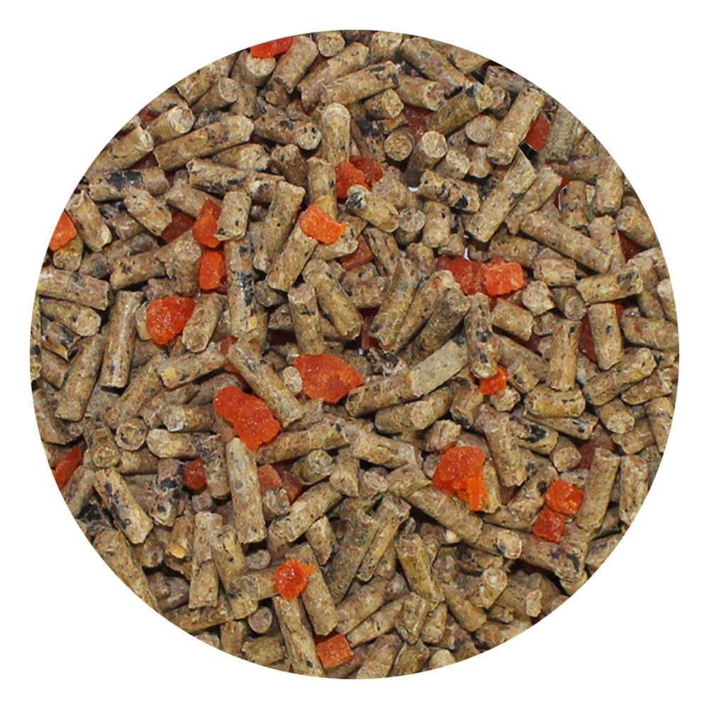 Dieta Exotic Nutrition Sugar Glider con hojas de eucalipto naturales