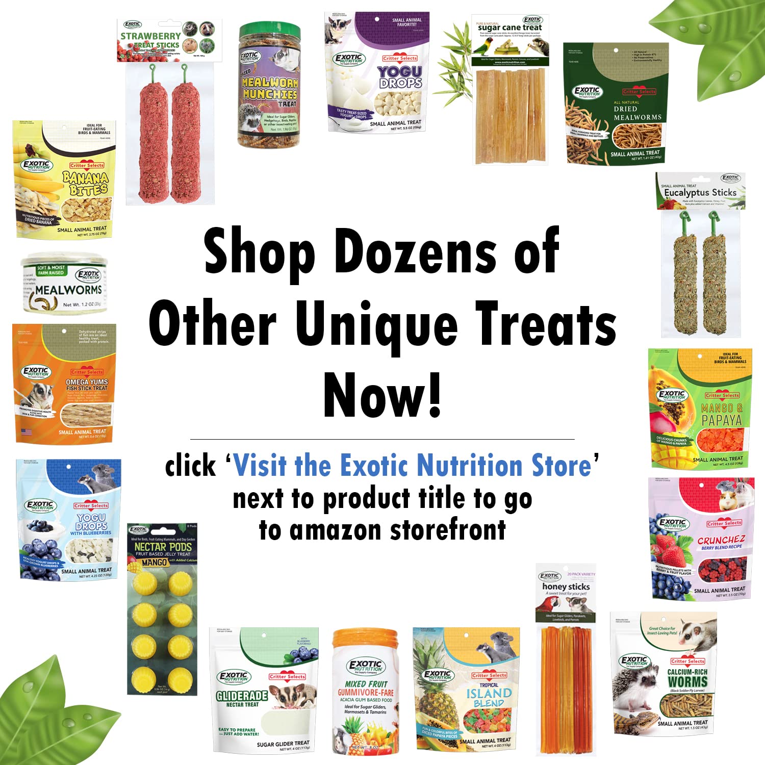 Exotic Nutrition entretenimiento-enriquecimiento: mejora la interacción entre mascota y dueño.