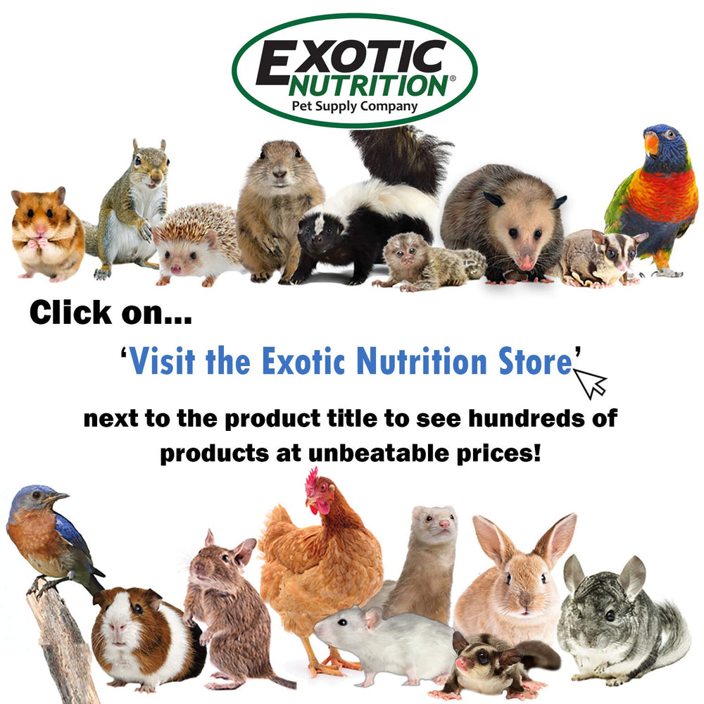Exotic Nutrition Glider Complete: uso diario práctico para dieta completa