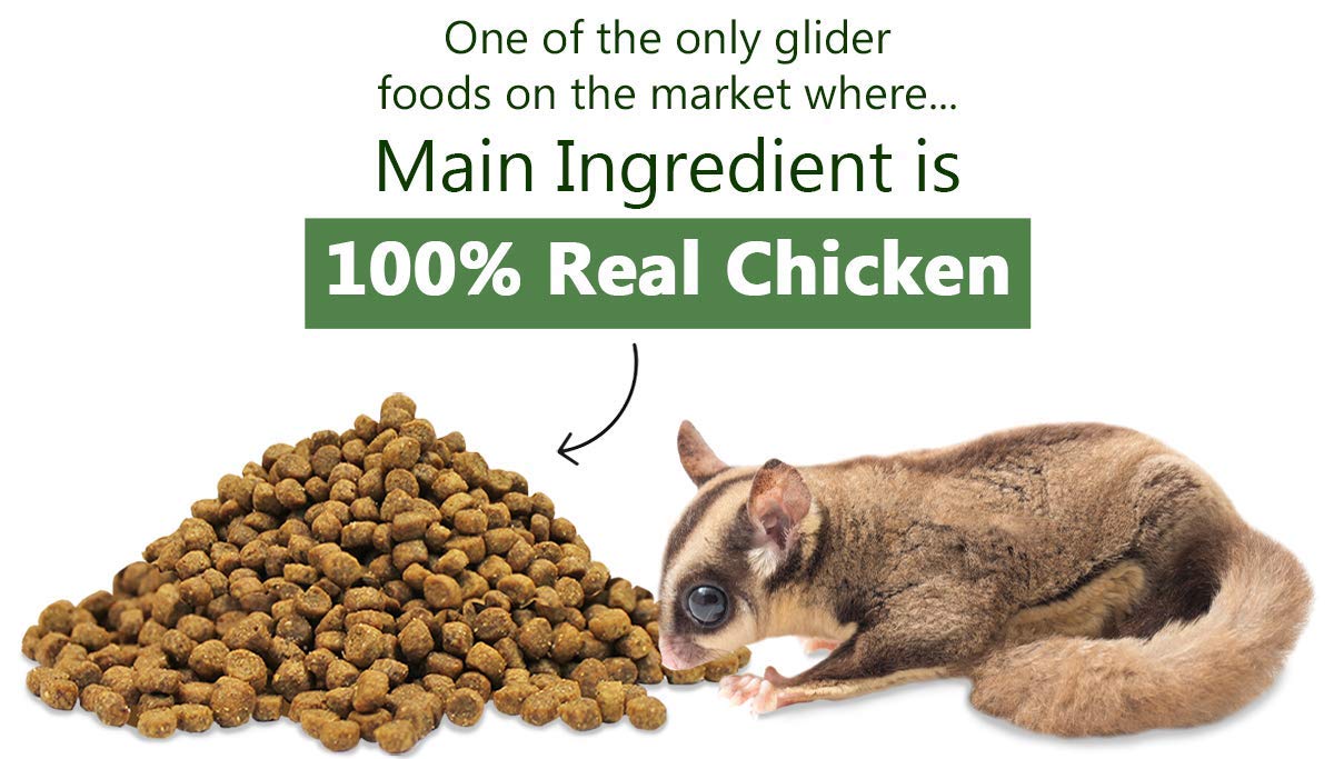 Glider Essential, ingredientes clave que apoyan una dieta equilibrada