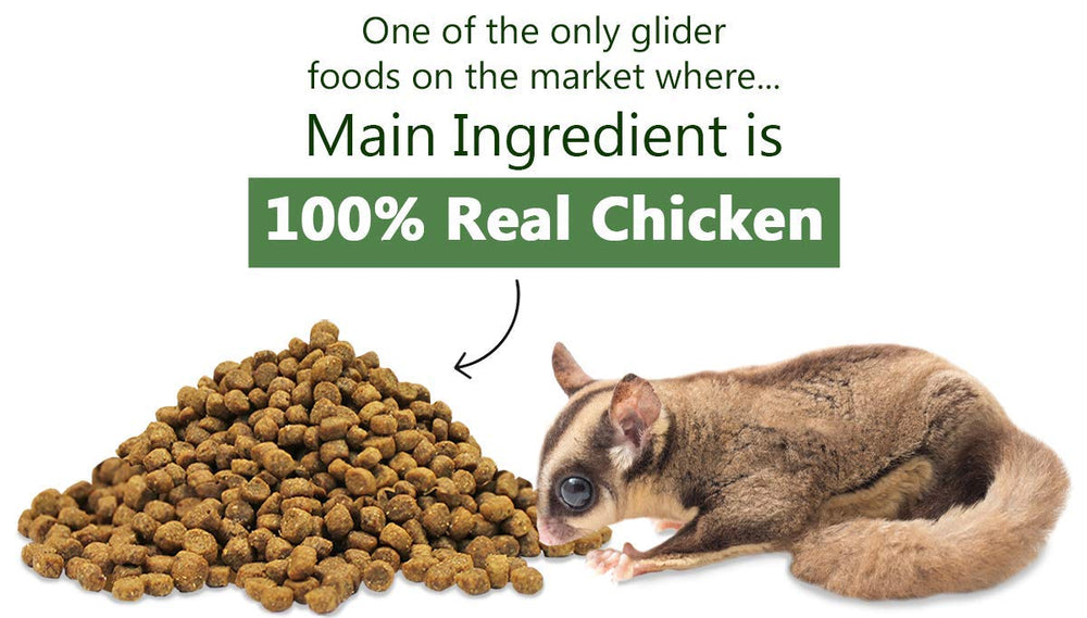 Glider Essential, ingredientes clave que apoyan una dieta equilibrada