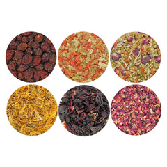 Exotic Nutrition juguete de forraje con golosinas, fomenta descubrimiento y juego