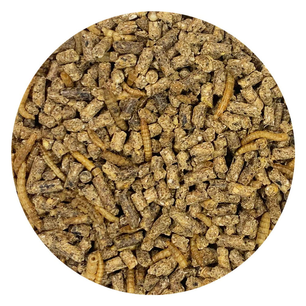 Dieta Hedgehog Complete para erizos basada en pellets y granos