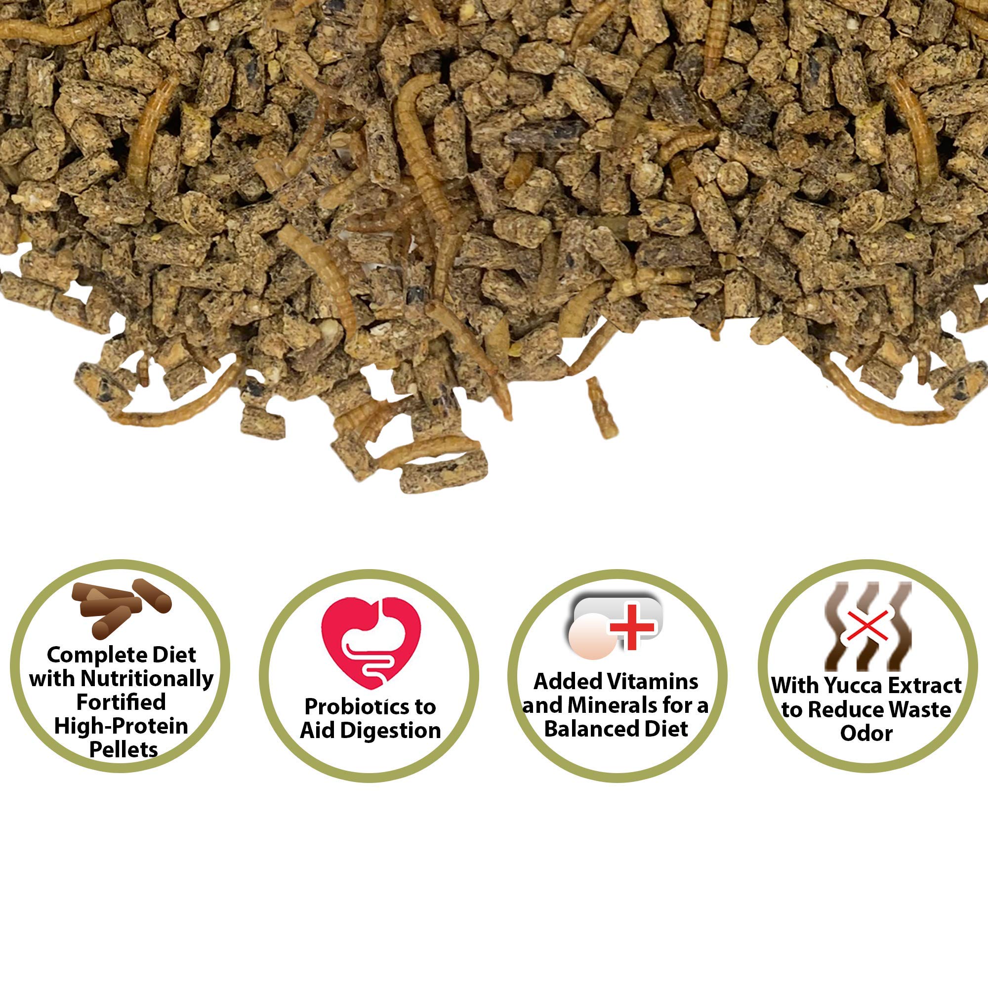 Lombrices secas Hedgehog Complete para proteína adicional