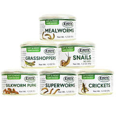 Exotic Nutrition grillos en lata, variedad para enriquecer la dieta de tu mascota