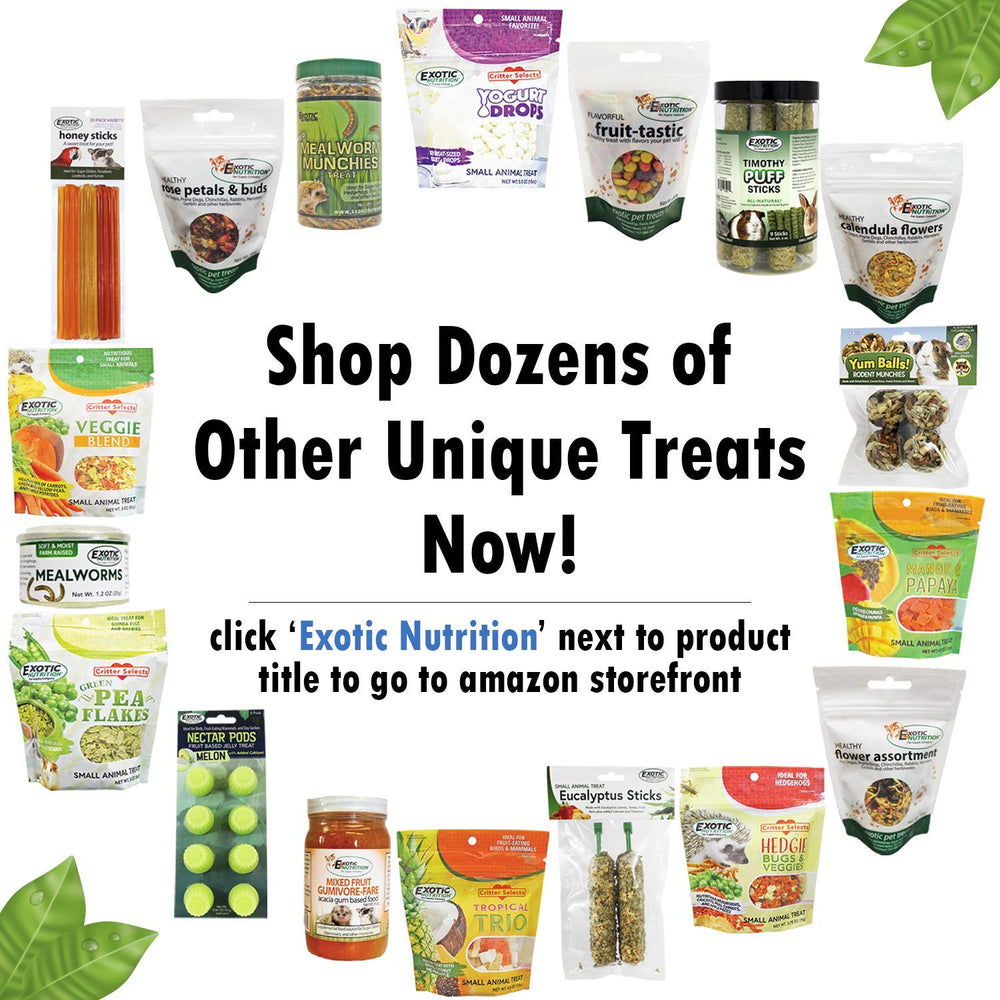 Exotic Nutrition varias mascotas explorando el pack, interacción en casa