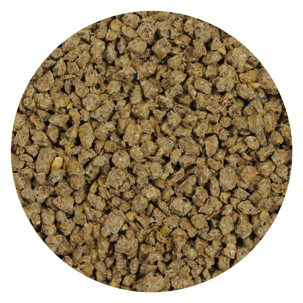 Exotic Nutrition Mealworm Chow: uso en criaderos de insectos para mejorar la nutrición.