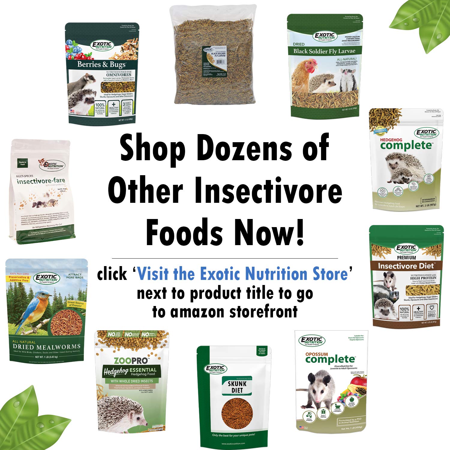 Exotic Nutrition Opossum Complete: guía de alimentación diaria para zarigüeyas activas.