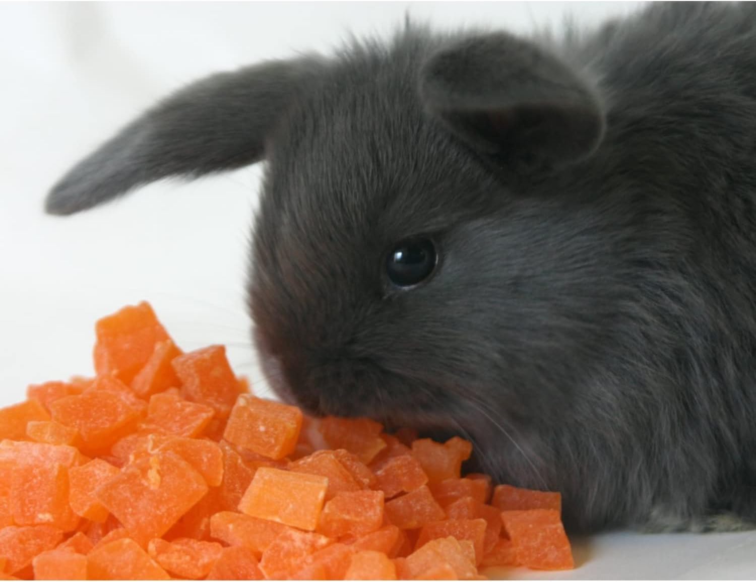 Golosina Exotic Nutrition Papaya Treat, trozos naturales y saludables para snack.