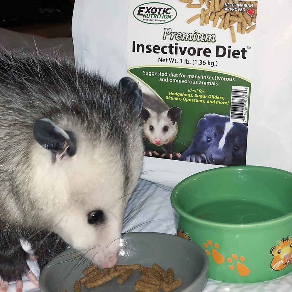 Exotic Nutrition Proceso de lotes pequeños: consistencia y calidad aseguradas.