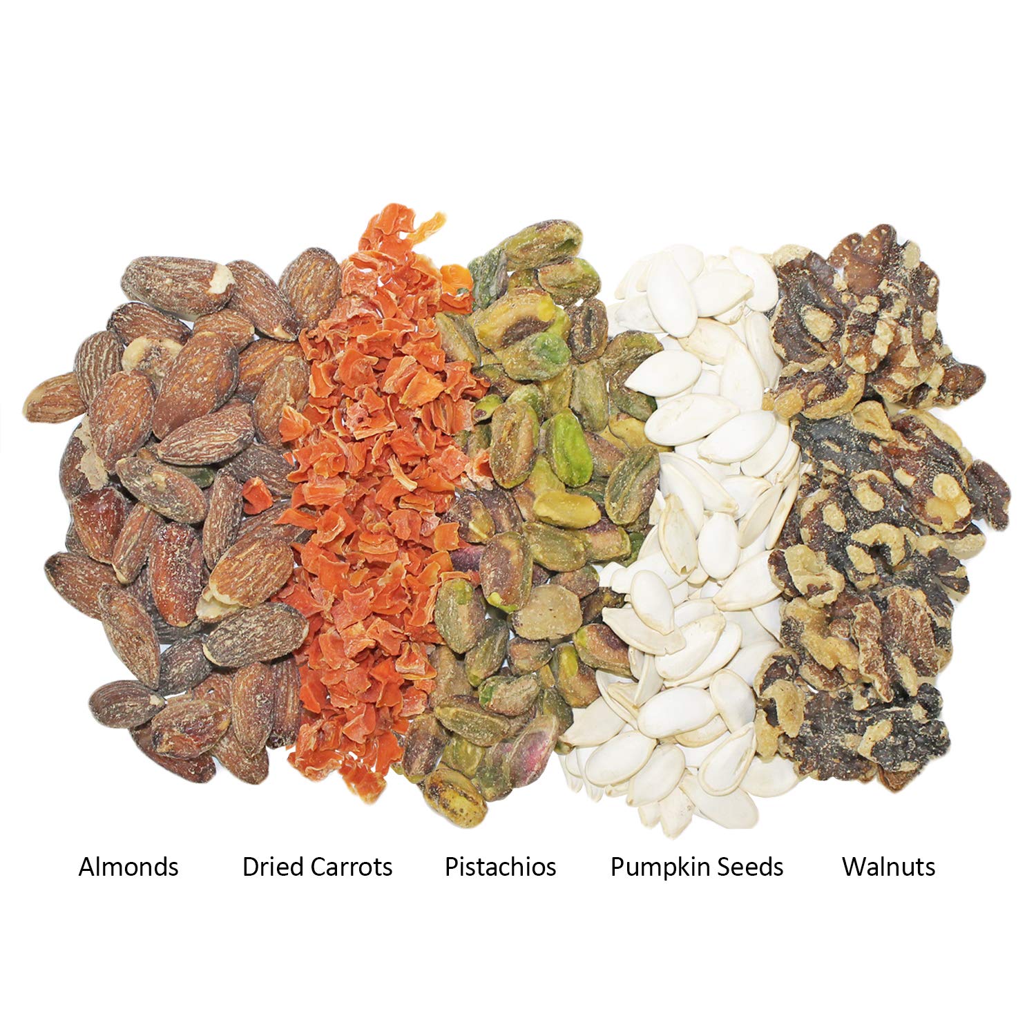 Exotic Nutrition Soporte Taza, base estable para cuenco