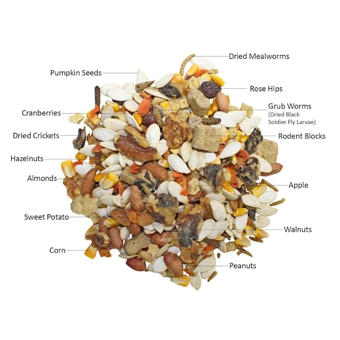 Envase hermético de Exotic Nutrition Squirrel Complete para mantener frescura