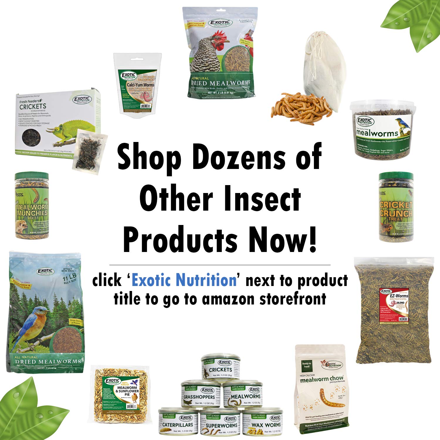 Exotic Nutrition lata de insectos con cierre reutilizable