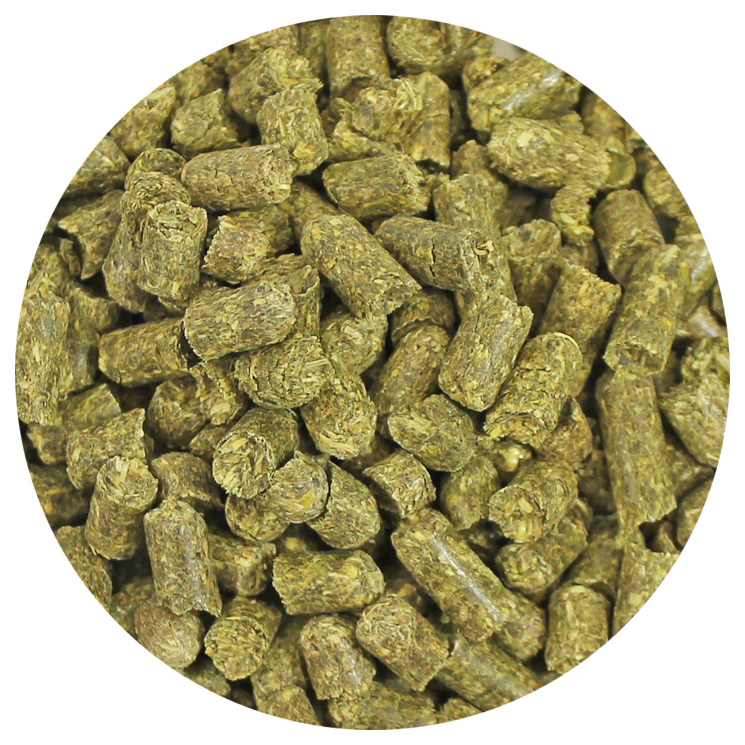 Timothy Pellets de Exotic Nutrition en plato, ideal para ración diaria segura.