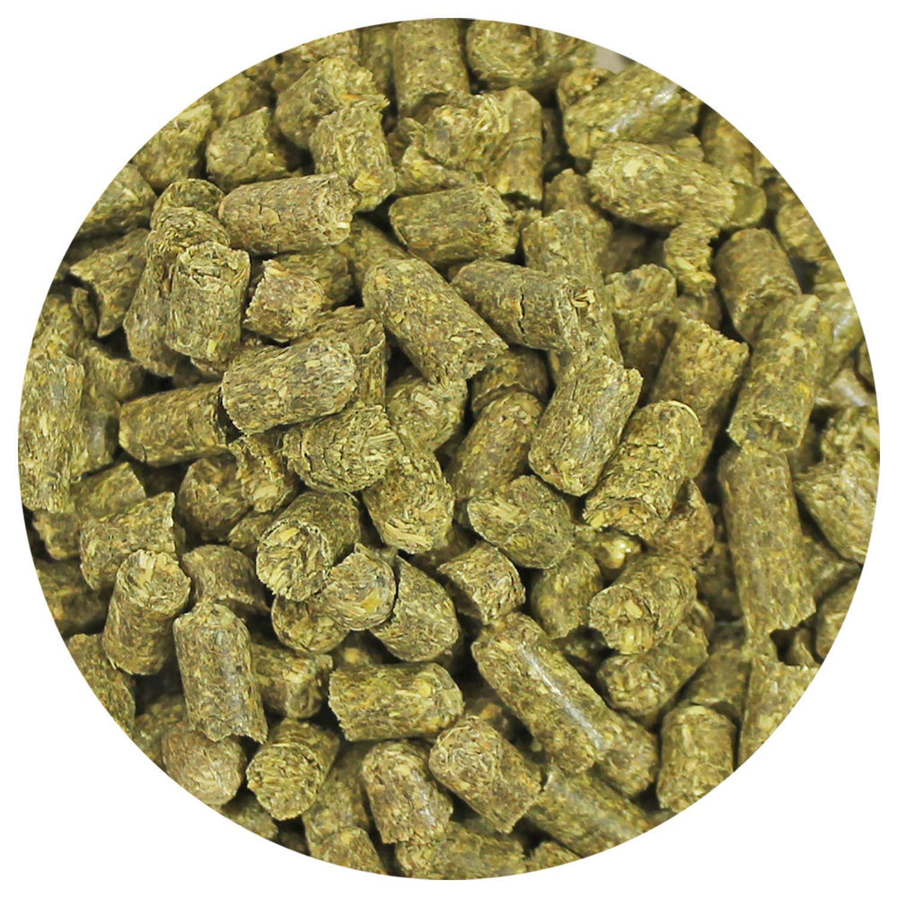 Timothy Pellets Exotic Nutrition, textura suave para roedores y dieta equilibrada.