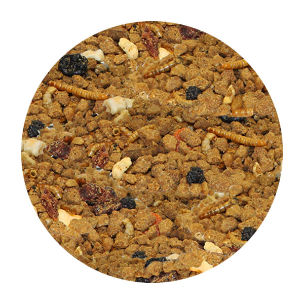 Exotic Nutrition Zarigüeya Completa, mezcla de fruta seca, sabor natural para variedad.
