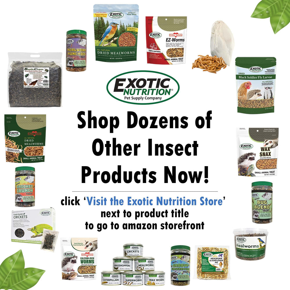 Exotic Nutrition Zarigüeya Completa, pellets listos para servir, práctica para comidas diarias.