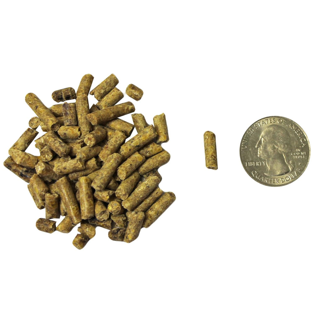 Envase de 2 libras de Exotic Nutrition para ardillas en cautiverio.