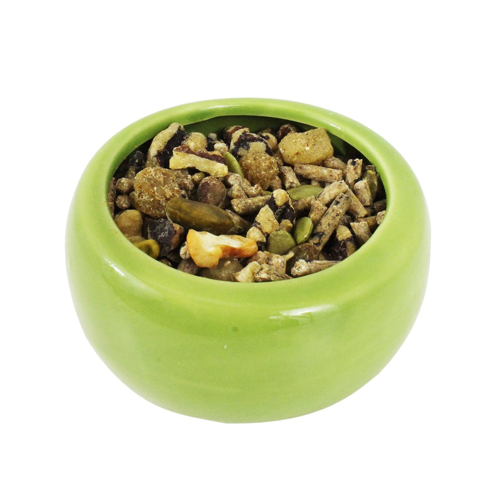 Ardilla disfrutando fruta seca y pellets de proteína con Exotic Nutrition.
