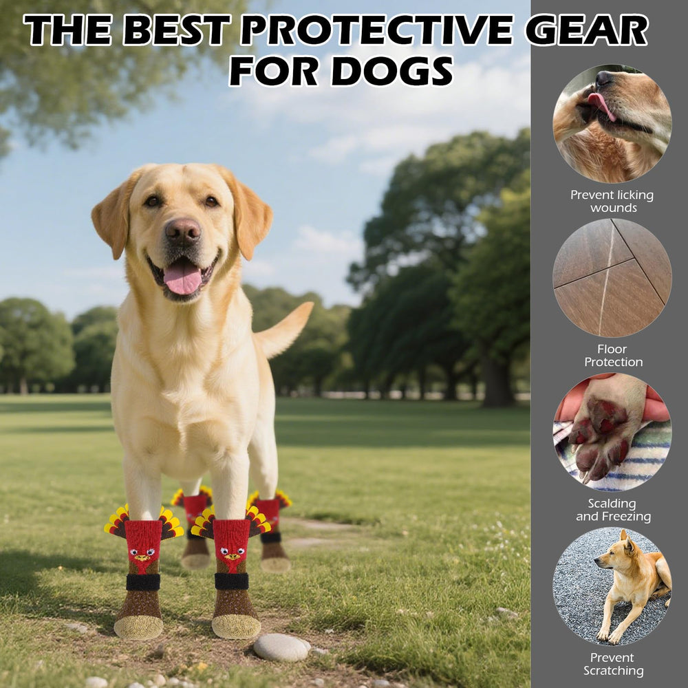 EXPAWLORER calcetines aptos para uso interior y exterior.