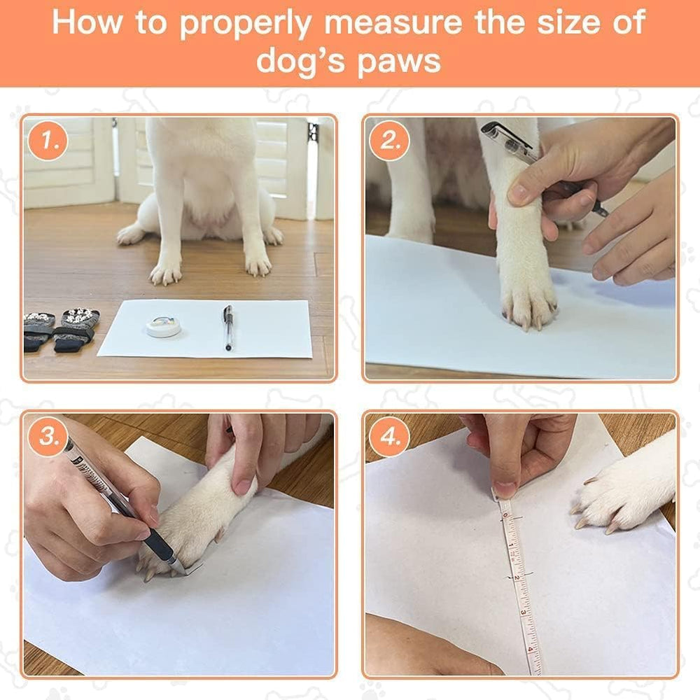 EXPAWLORER protección de patas para pavimento caliente o frío durante paseos