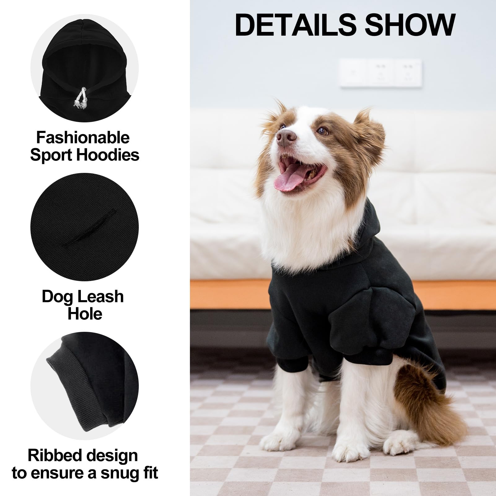 EXPAWLORER sudadera para perro con diseño deportivo para destacar en la calle