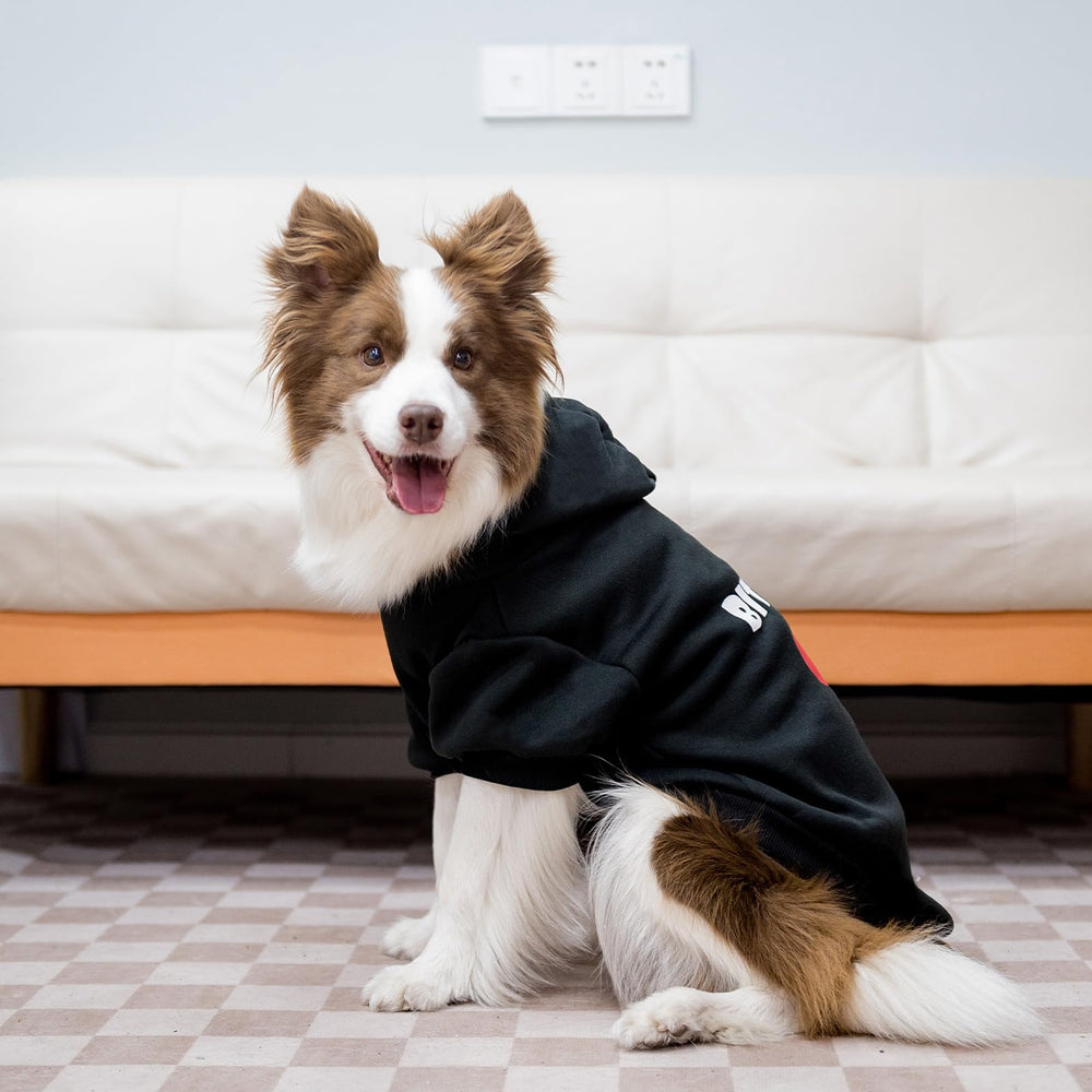 EXPAWLORER sudadera para perro con impresión Love Me y estilo atemporal