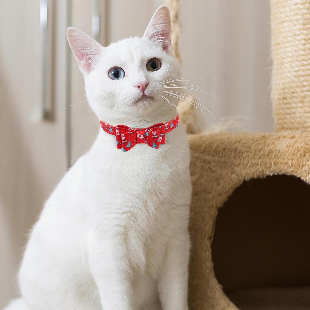EXPAWLORER ajuste collar 9-11-8: adaptabilidad para diferentes mascotas