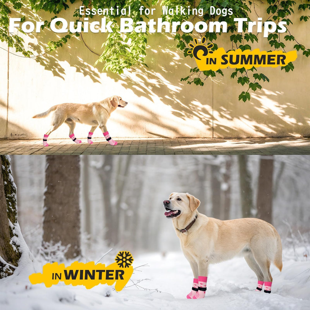EXPAWLORER aptos para perros mayores o activos que resbalan.