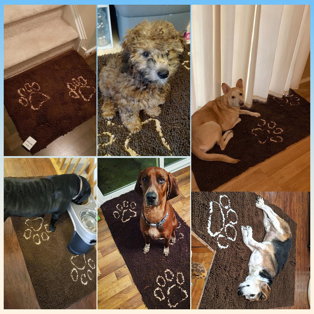 Alfombra EXPAWLORER para uso interior y exterior, resistente y duradera.