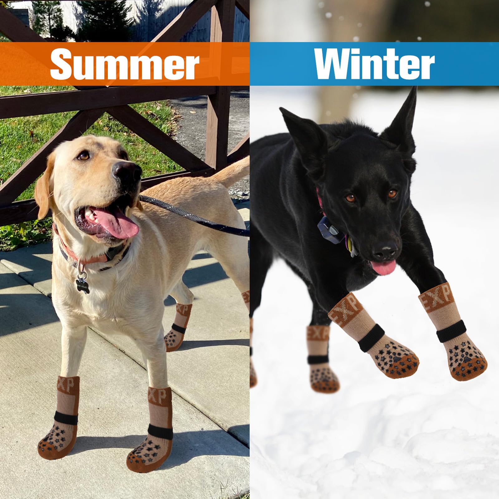 EXPAWLORER botas proteccion patitas frente frio y calor, ideales para caminatas.